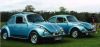 Filename=BigBeetle10.jpg
Filesize=98KiB
Dimensions=1716x819
Date added=Mar 22, 2007 BigBeetle10.jpg