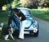Filename=BigBeetle3.jpg
Filesize=36KiB
Dimensions=413x353
Date added=Mar 22, 2007 BigBeetle3.jpg