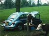 Filename=BigBeetle4.jpg
Filesize=40KiB
Dimensions=472x352
Date added=Mar 22, 2007 BigBeetle4.jpg
