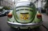 Filename=111a_0.JPG
Filesize=2KiB
Dimensions=96x63
Date added=Mar 10, 2008 111a_0.JPG