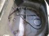 Filename=85ee_1.JPG
Filesize=18KiB
Dimensions=400x300
Date added=Jun 02, 2008 85ee_1.JPG