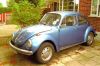 Filename=BB_Beetle_001.jpg
Filesize=31KiB
Dimensions=500x332
Date added=Dec 19, 2007 BB_Beetle_001.jpg