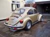 My_beetle_151.JPG