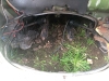Filename=PKM398M_5.jpg
Filesize=410KiB
Dimensions=1600x1200
Date added=Mar 28, 2021 PKM398M_5.jpg