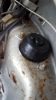 Filename=TCV681N_15.jpg
Filesize=35KiB
Dimensions=432x768
Date added=Oct 18, 2015 TCV681N_15.jpg