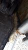 Filename=TCV681N_33.jpg
Filesize=47KiB
Dimensions=432x768
Date added=Oct 18, 2015 TCV681N_33.jpg