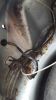 Filename=TCV681N_9.jpg
Filesize=41KiB
Dimensions=432x768
Date added=Oct 18, 2015 TCV681N_9.jpg