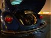 Filename=my_beetle4.JPG
Filesize=40KiB
Dimensions=500x375
Date added=Jul 14, 2010 my_beetle4.JPG