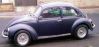 Filename=newbugsmall.jpg
Filesize=27KiB
Dimensions=573x275
Date added=Apr 12, 2009 newbugsmall.jpg